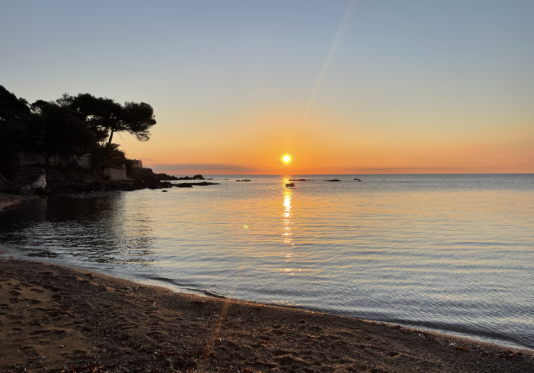 HB Liberté - Discover the best beaches, restaurants, water sports, and day trips near HB Liberté in Port Fréjus. Everything within walking distance or a short drive on the Côte d'Azur.